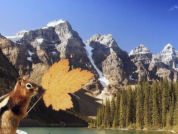 Fall In Lake Louise